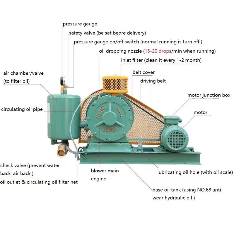 news-800-800 news-800-800